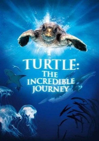 Turtle: The Incredible Journey
