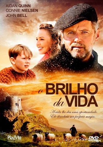 O Olhar do Coração