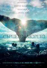 В сърцето на морето