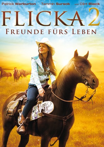 Flicka 2 - Freunde fürs Leben