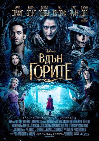 Вдън горите