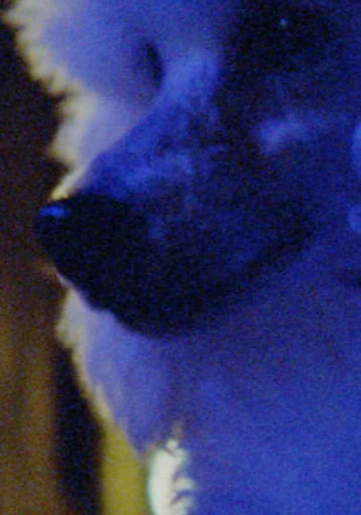 Two Sisters Who Are Not Sisters