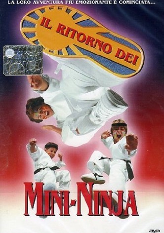 Il ritorno dei Mini-Ninja