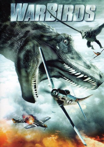 Warbirds - Drachen des Todes