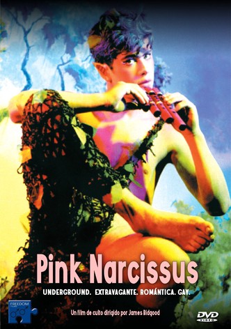 Pink Narcissus