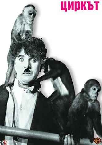 Циркът