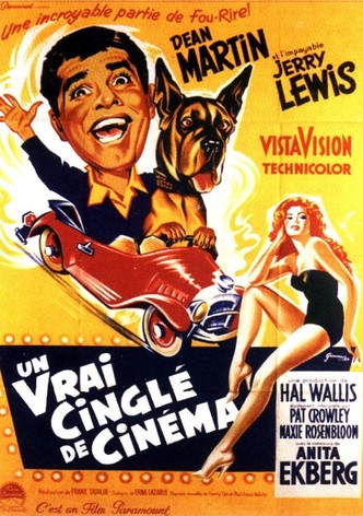 Un vrai cinglé de cinéma