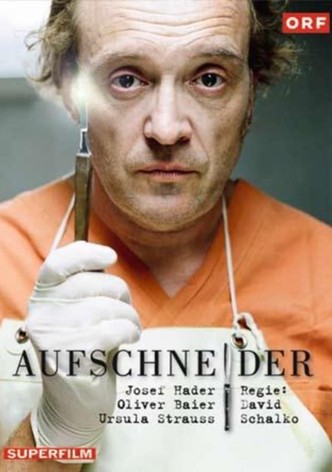 Aufschneider