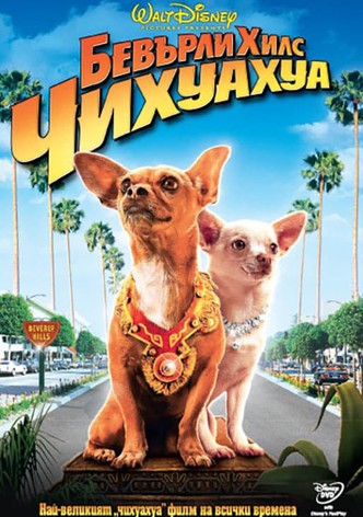 Бевърли Хилс Чихуахуа