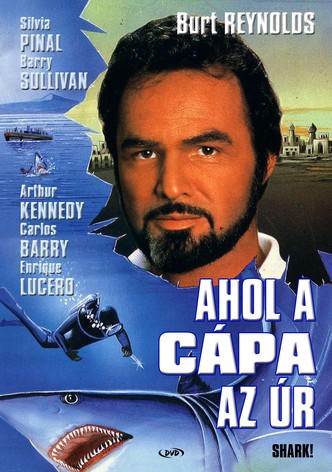 Ahol a cápa az úr