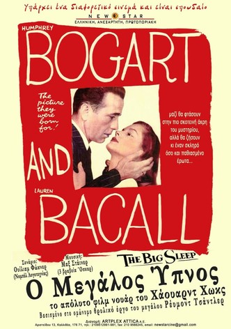 Ο μεγάλος ύπνος