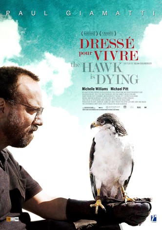 Dressé pour vivre - The Hawk Is Dying