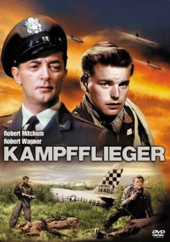 Kampfflieger