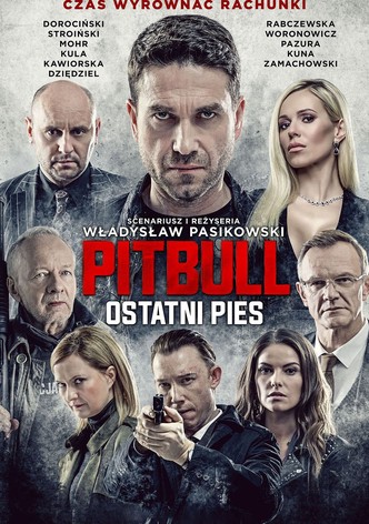 Pitbull. Ostatni pies