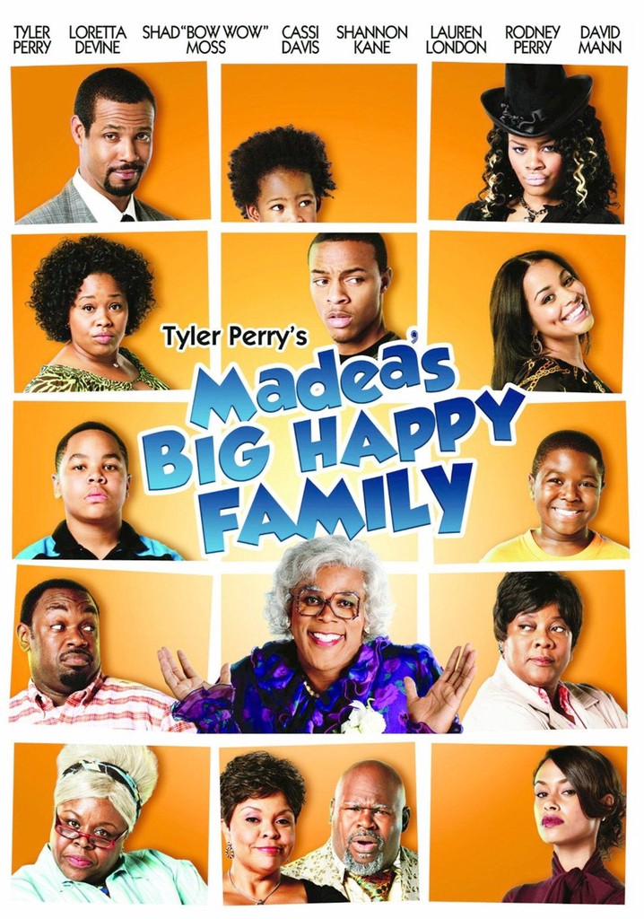 Madea's Big Happy Family watch streaming online