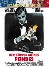 Der Körper meines Feindes