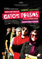 Nadie sabe nada de gatos persas