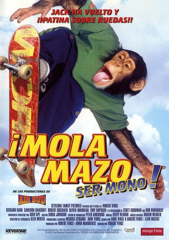 ¡Mola mazo ser mono!