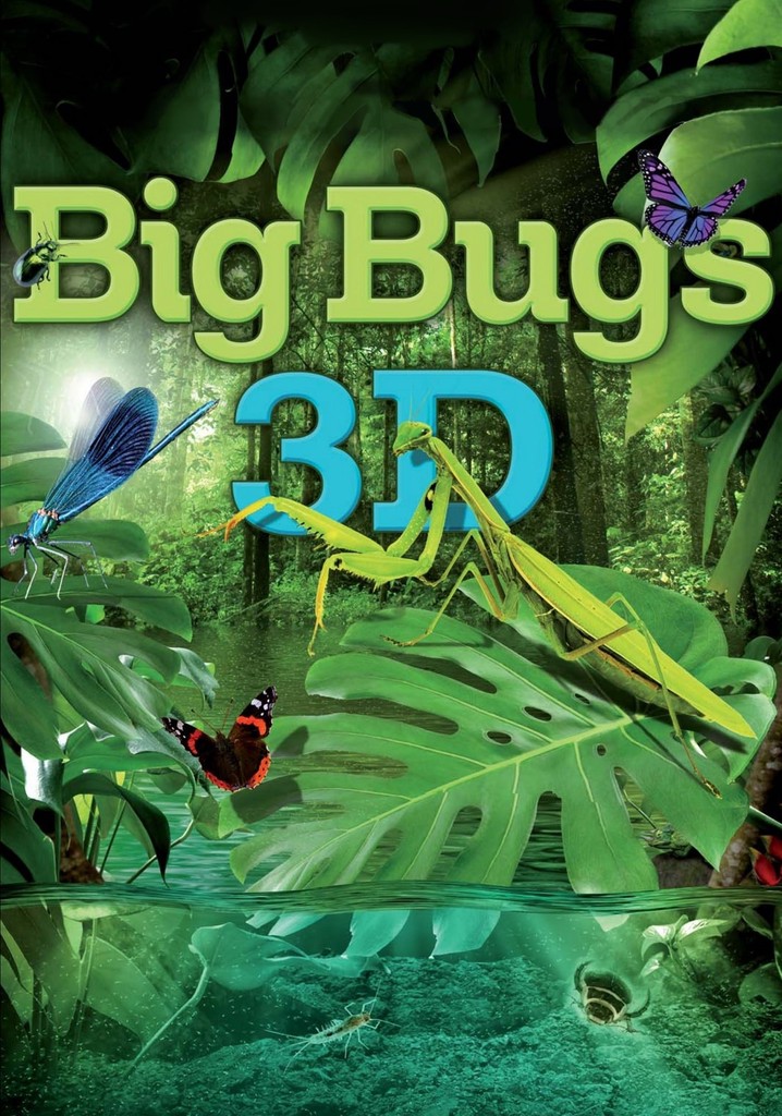 Big Bugs