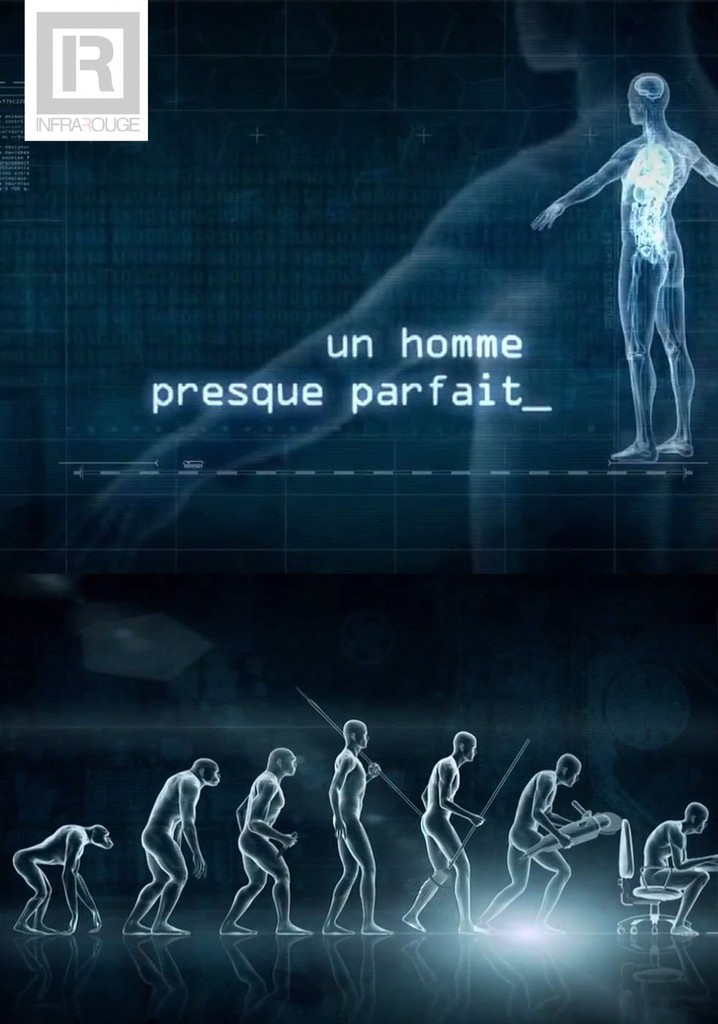 Un homme presque parfait