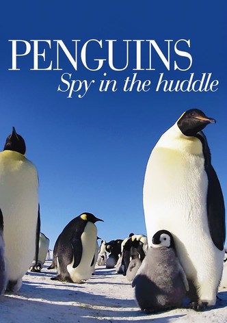 Penguins: Spy in the Huddle