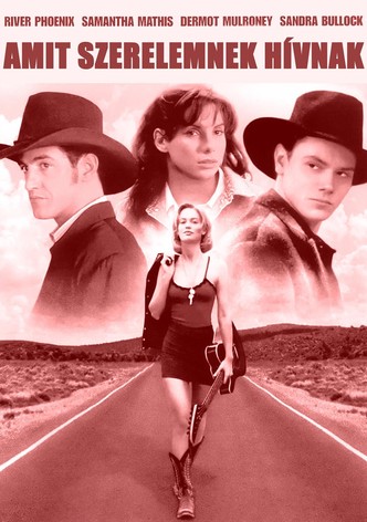 Amit szerelemnek hívnak