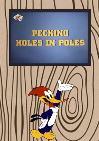 Pecking Holes in Poles