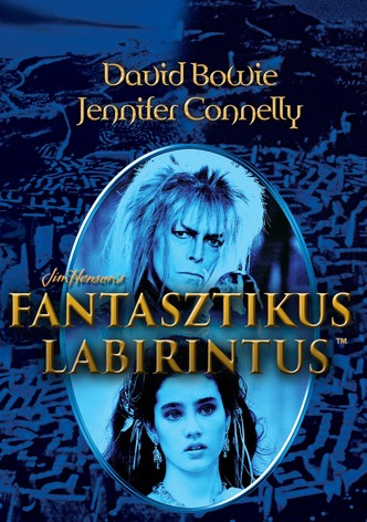 Fantasztikus labirintus