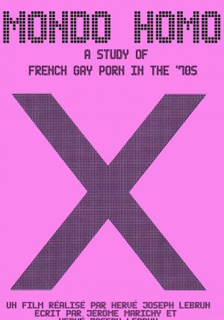 Mondo Homo: Inquiry Into 70's Gay French Porn