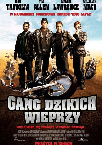 Gang dzikich wieprzy