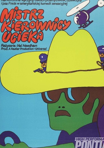 Mistrz kierownicy ucieka