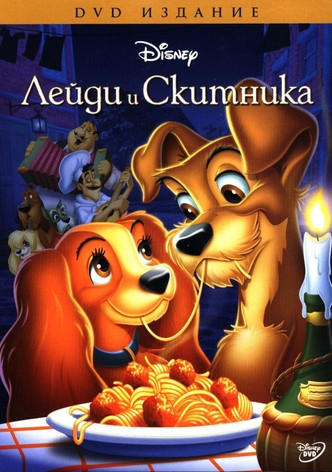 Лейди и скитника