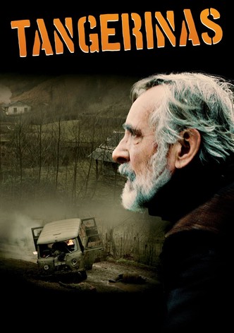 Tangerinas