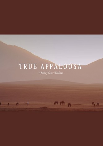 Le Véritable Appaloosa