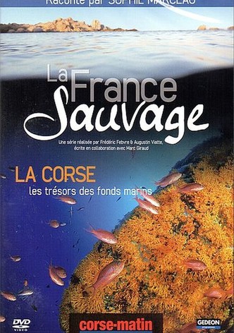 La France Sauvage E06.La Corse les tresors des fonds marins