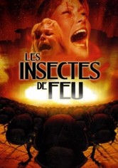 Les Insectes de feu