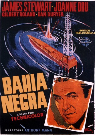 Bahía negra