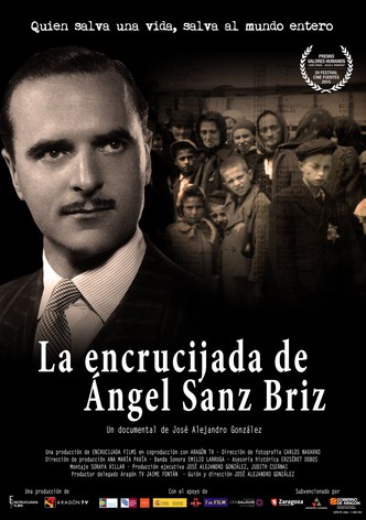 La encrucijada de Ángel Sanz Briz