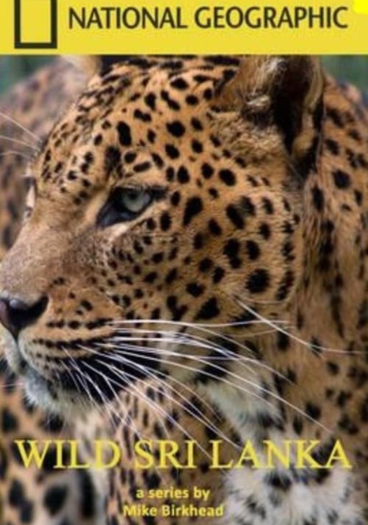 Wild Sri Lanka