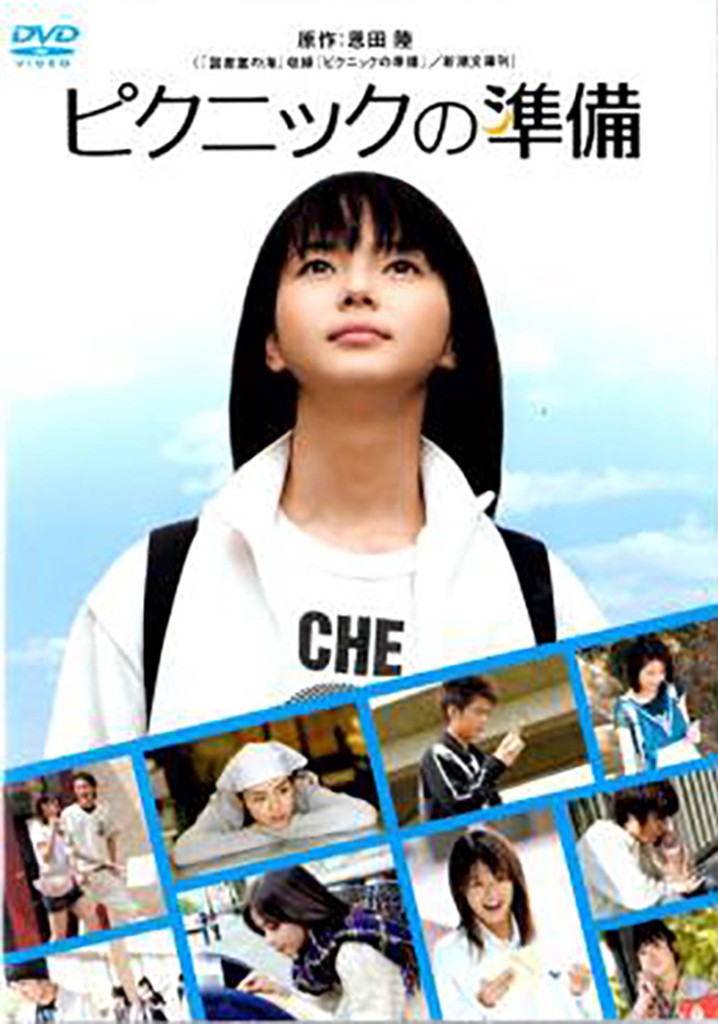 Preparing For the Picnic