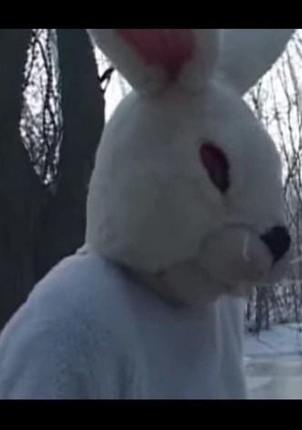 Run Rabbit Run