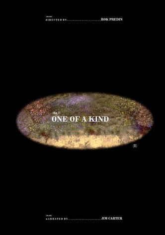 One of a Kind