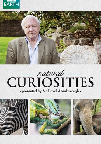 David Attenborough's Natural Curiosities