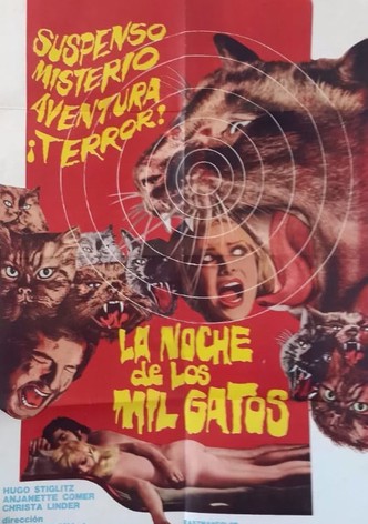 La noche de los mil gatos