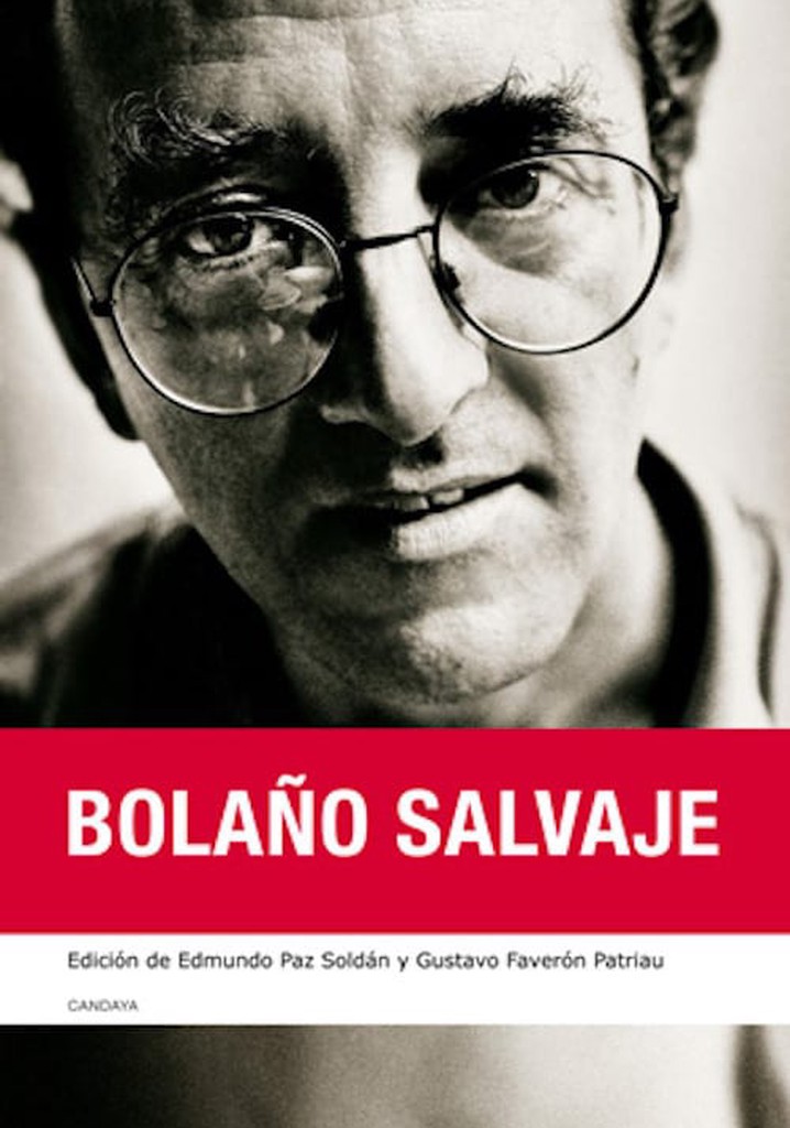 Bolaño, Up Close and Personal