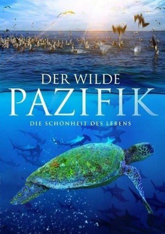 Der wilde Pazifik - Die Schönheit des Lebens