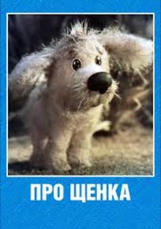 About a Puppy