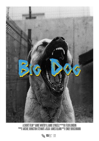 Big Dog