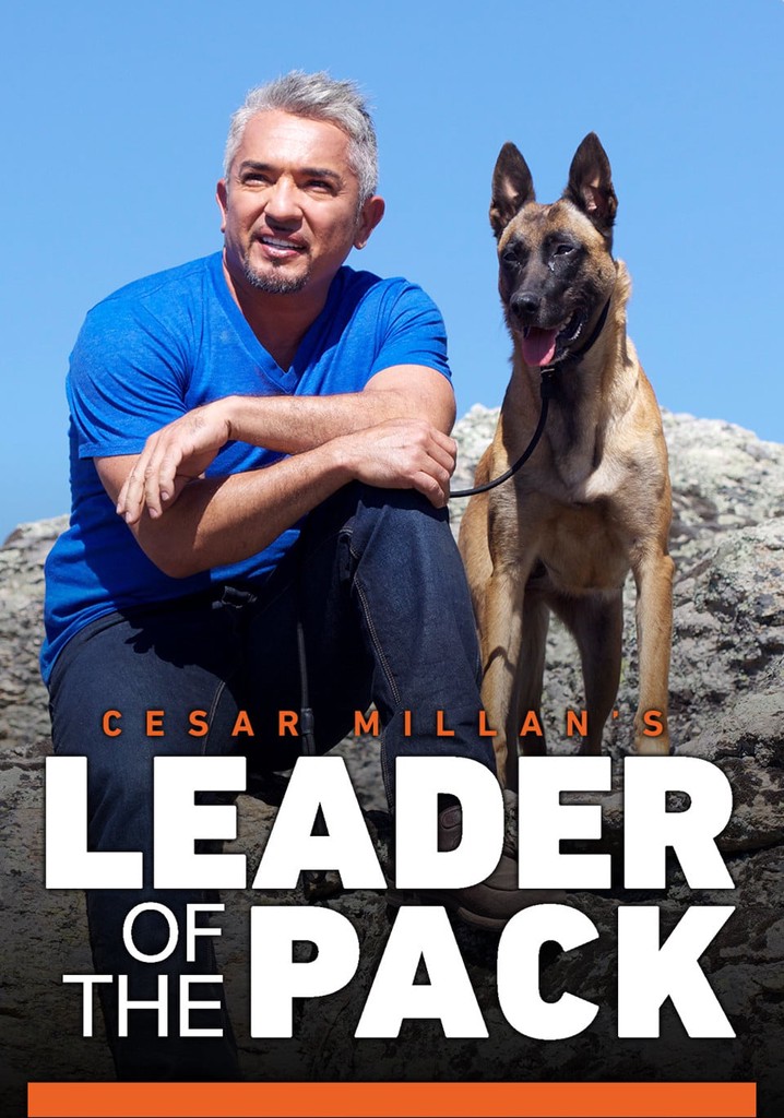 Cesar Millan's Leader of the Pack - streaming online