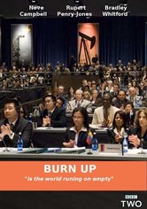 Burn Up